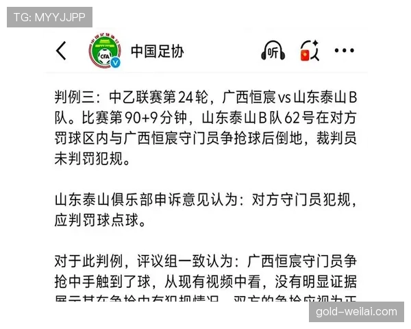 比赛申诉流程与裁判判罚证据要求